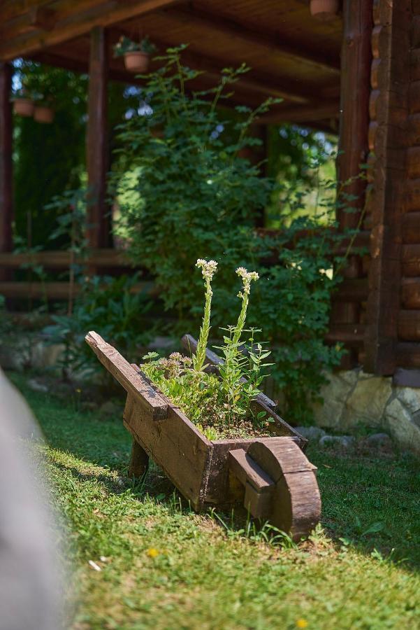 Country House Brijest Guest House Kolasin Exterior photo